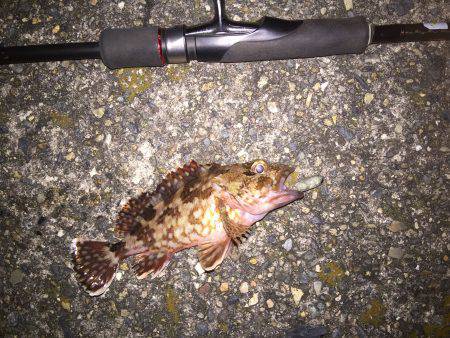 仕事帰り、少し長時間ライト